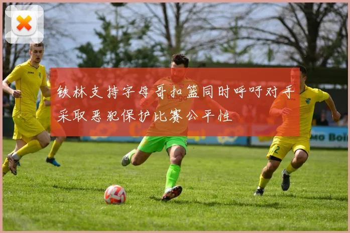 铁林支持字母哥扣篮同时呼吁对手采取恶犯保护比赛公平性