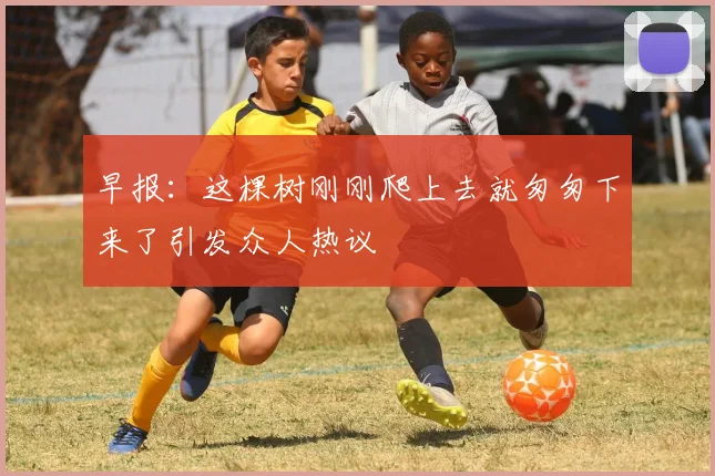 早报：这棵树刚刚爬上去就匆匆下来了引发众人热议