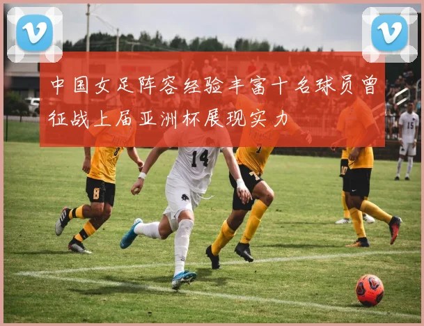 中国女足阵容经验丰富十名球员曾征战上届亚洲杯展现实力