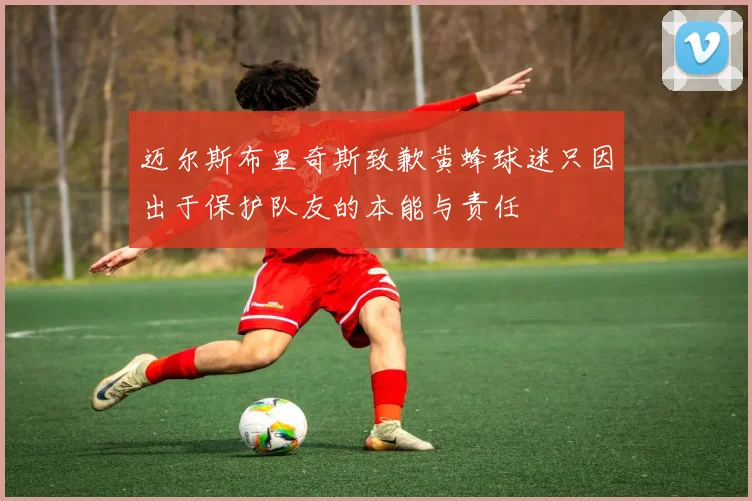 迈尔斯布里奇斯致歉黄蜂球迷只因出于保护队友的本能与责任